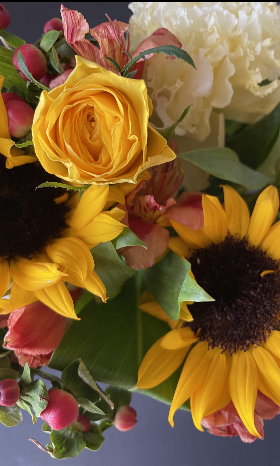 今週体験したシンクロニシティ、物事は準備が整っていなくても進めること。 大きな一歩